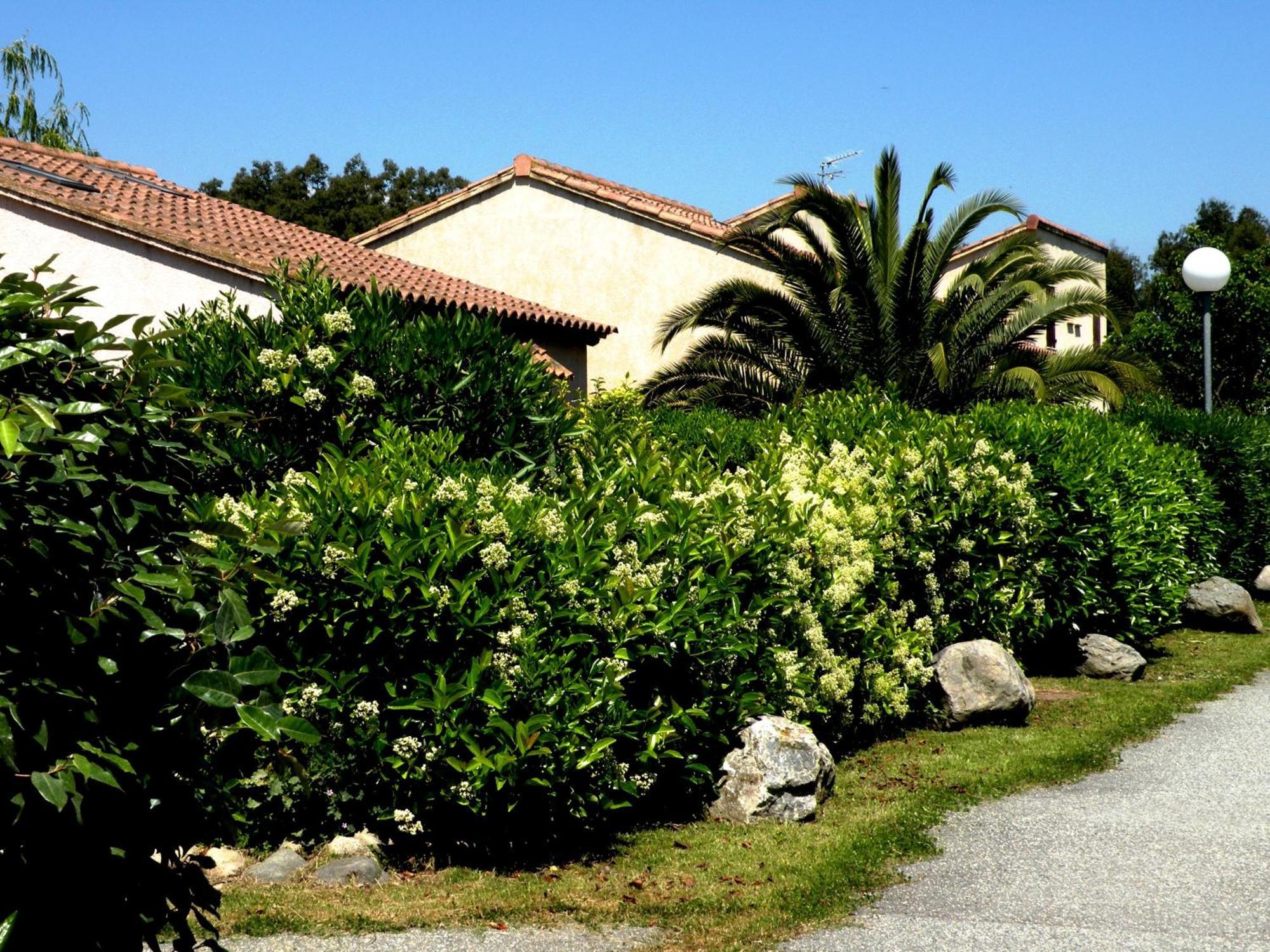 Residence De Tourisme Marina Corsa Ghisonaccia Exterior foto